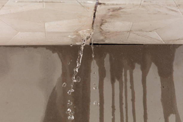 Professional Water Damage Inspection technician working in Mount Vernon, MD